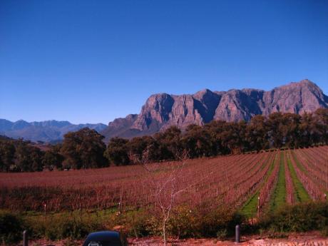 Tokara Winery, Stellenbosch, Western Cape, South Africa